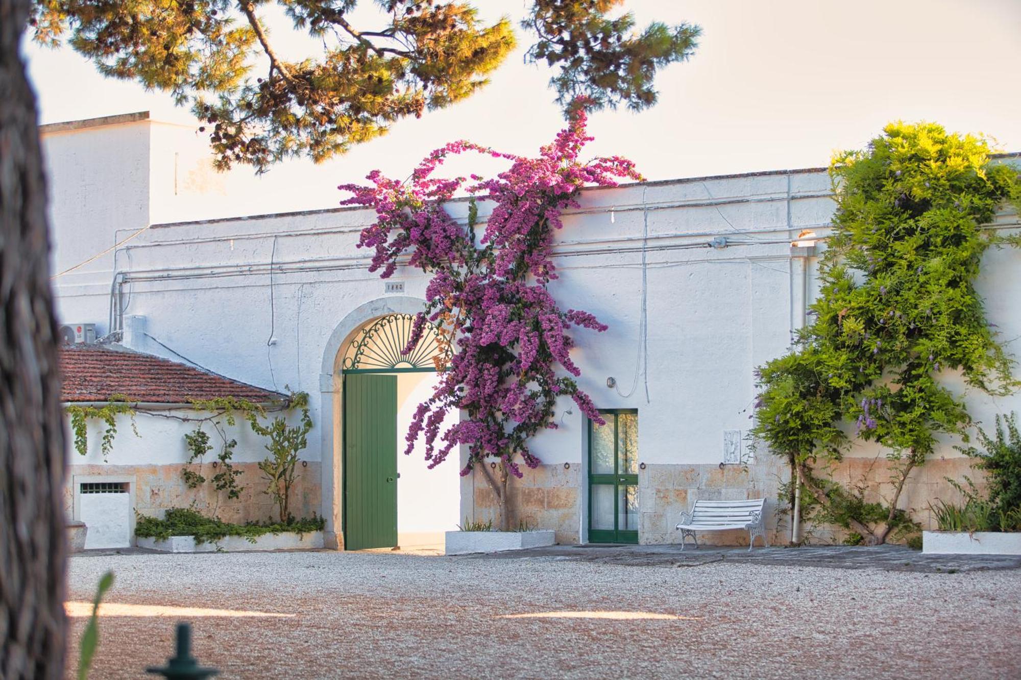 Villa Ceci Dimora Di Storie أندريا المظهر الخارجي الصورة